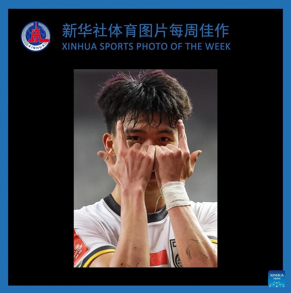 量级比赛因 量级比赛因